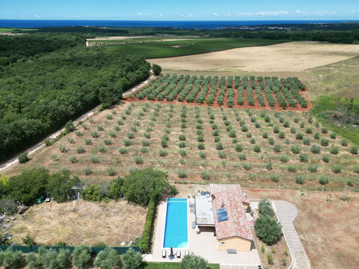 Villa Absolute Privacy Novigrad Istria Exterior foto